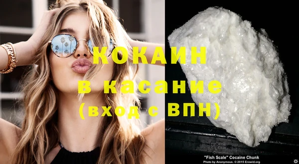 стаф Сясьстрой